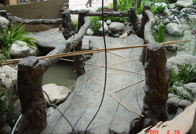 桥的案例图片