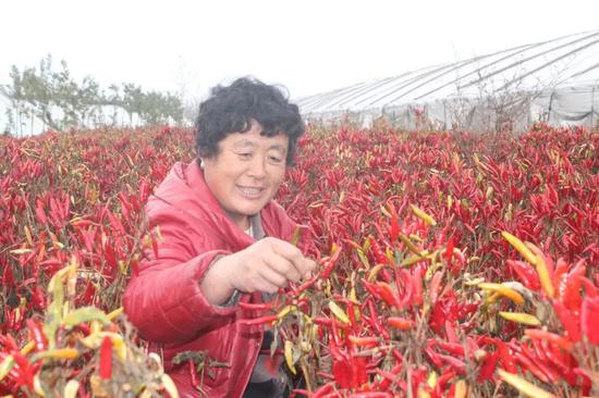 新世纪第16个聚焦“三农”一号文件发布:四大看点