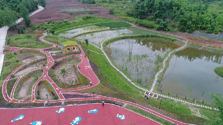 悦来试点海绵城市建设 三大亮点可以“复制”
