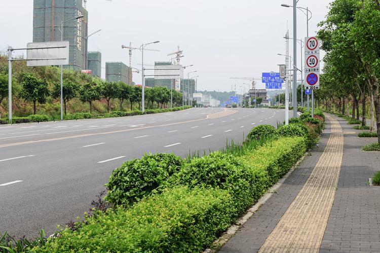 悦来试点海绵城市建设 三大亮点可以“复制”
