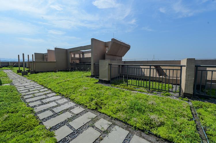 悦来试点海绵城市建设 三大亮点可以“复制”